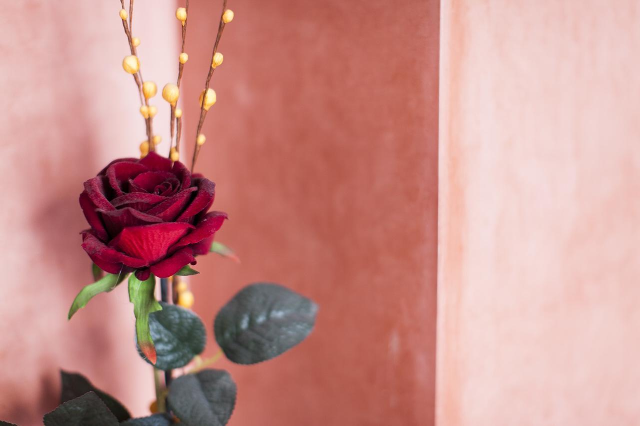 Dar Sohane Marrakesh Ngoại thất bức ảnh
